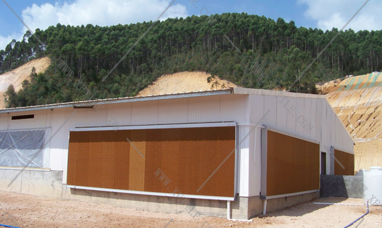 還在為廠(chǎng)房的墻體煩惱嗎？使用星發(fā)優(yōu)質(zhì)墻體廠(chǎng)房塑料瓦